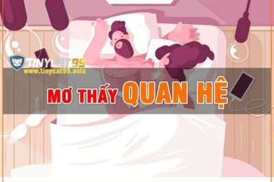 Mơ Mộng Tinh Đánh Con Gì Sự Phấn Khích Của Trò Chơi Dựa Trên Giấc Mơ