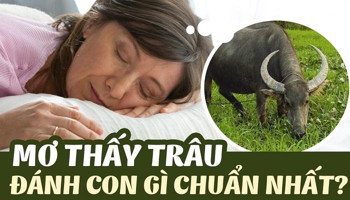 Bói số đen Đánh con gì để thắng lớn?